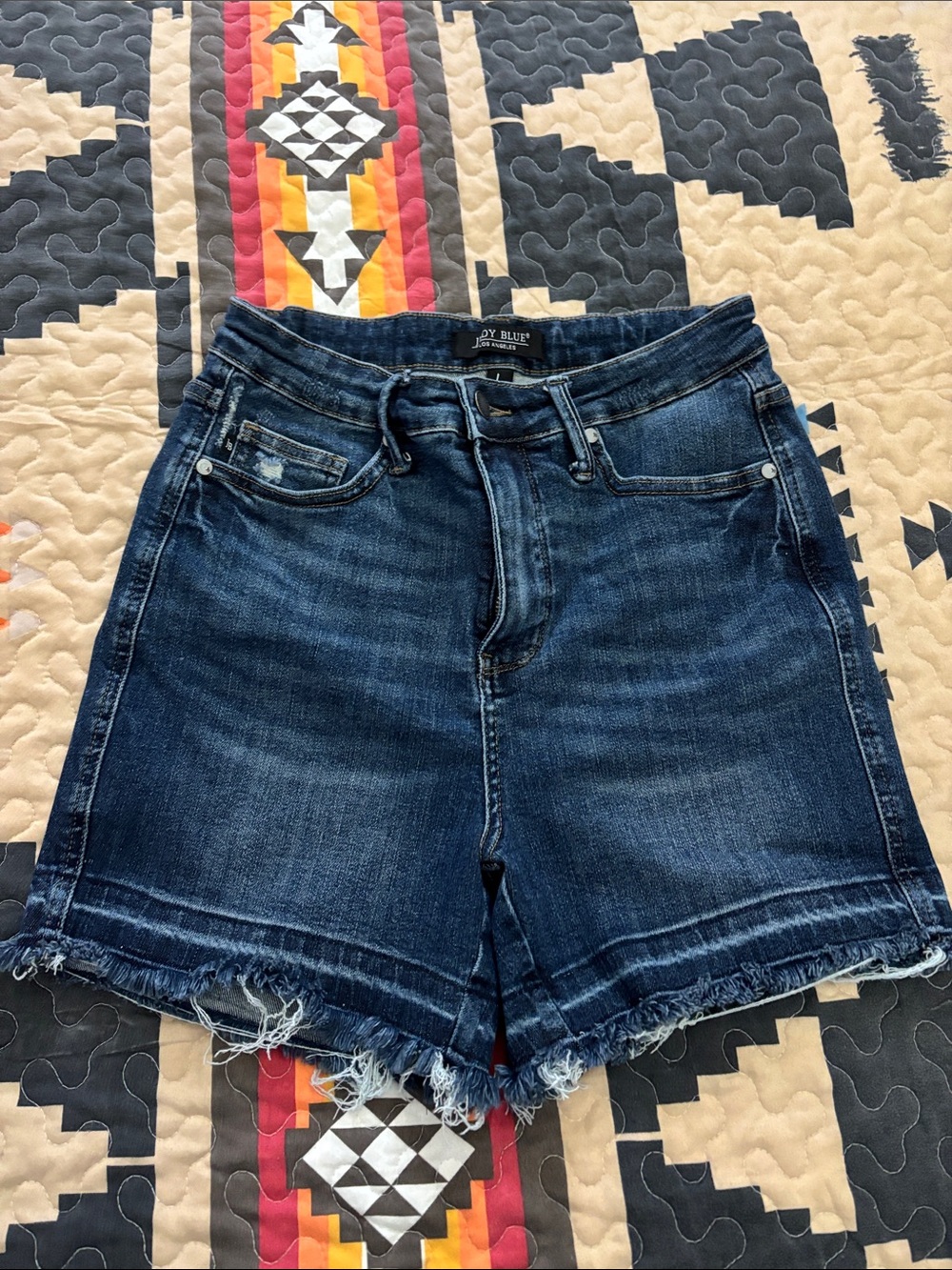 Judy Blue Dark Wash Frayed Hem Denim Shorts